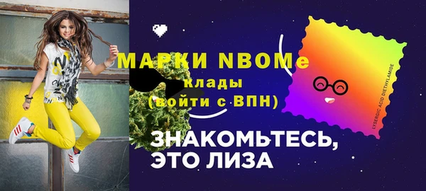 МДПВ Гатчина
